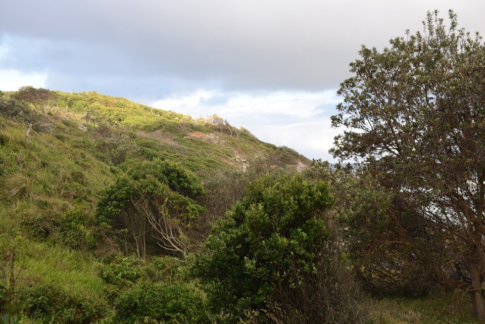 Australien - Port Macquarie - 
