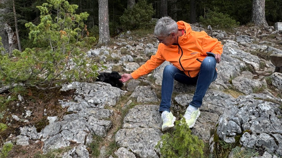 Montenegro - Plužine - Barbara hat gleich neue Freunde gefunden.
