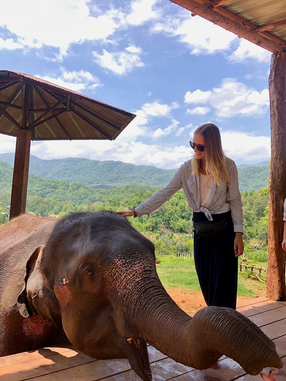 Thailand - Chiang Mai - 