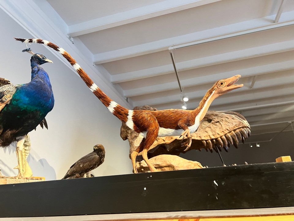 Dänemark - København K - 