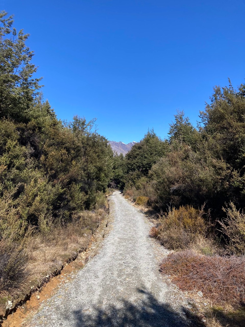 Neuseeland - Queenstown-Wakatipu Ward - 