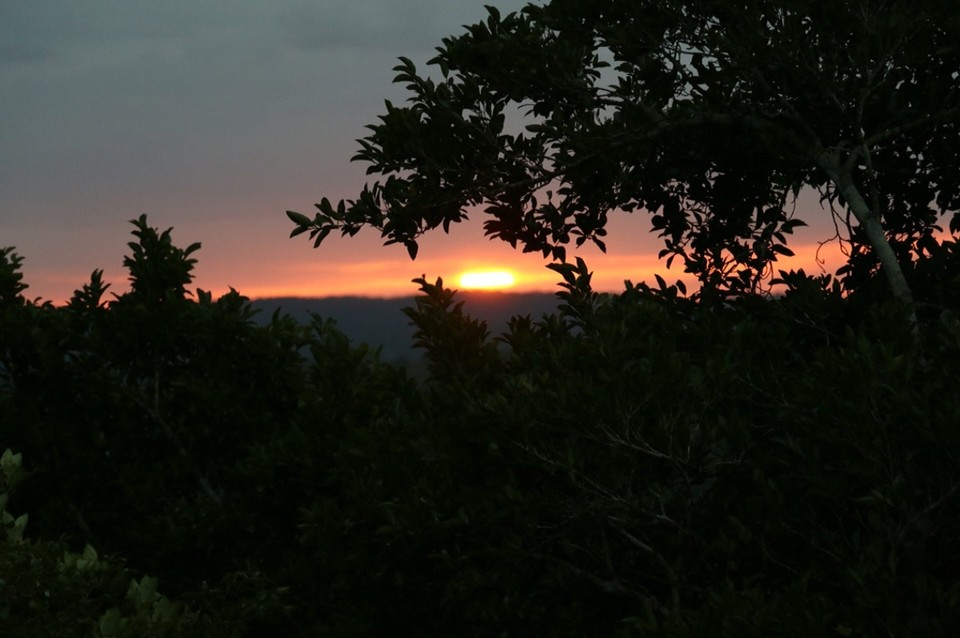 Guatemala - Tikal - Sonnenuntergang vom 75 m hohen Tempel mit Blick über den gesamten Dschungel - gemeinsam mit dem Gebrüll der Brüllaffen und aller anderen Dschungeltiere. Das muss man einmal erlebt haben! 