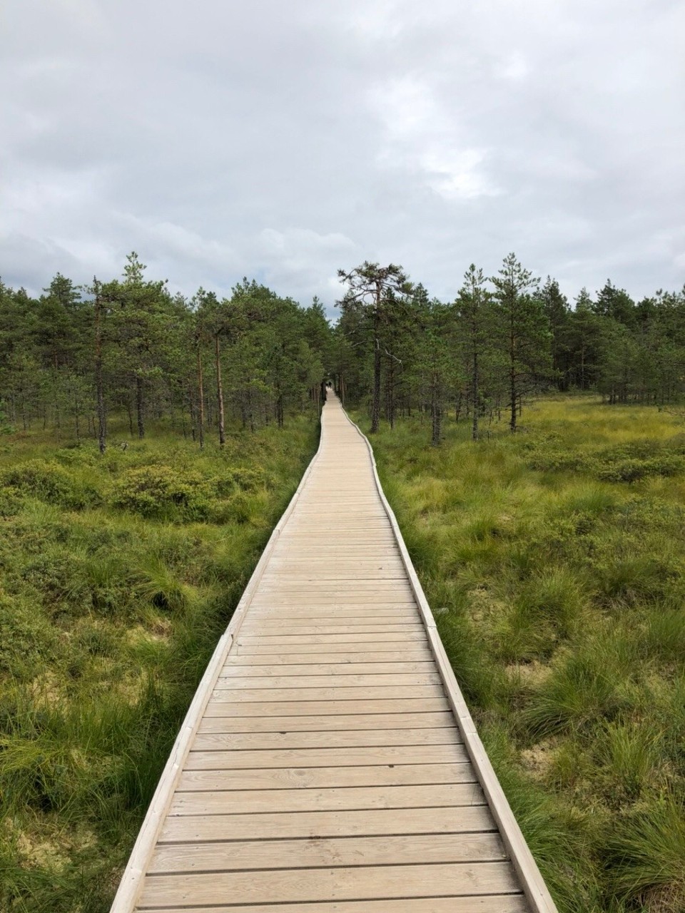 Estland - Vihula - 
