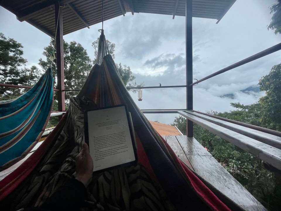Panama -  - Zurück in unserem Hostel hieß es dann wieder entspannen 📖 und Natur genießen 🌫️ 🐦 🌳 