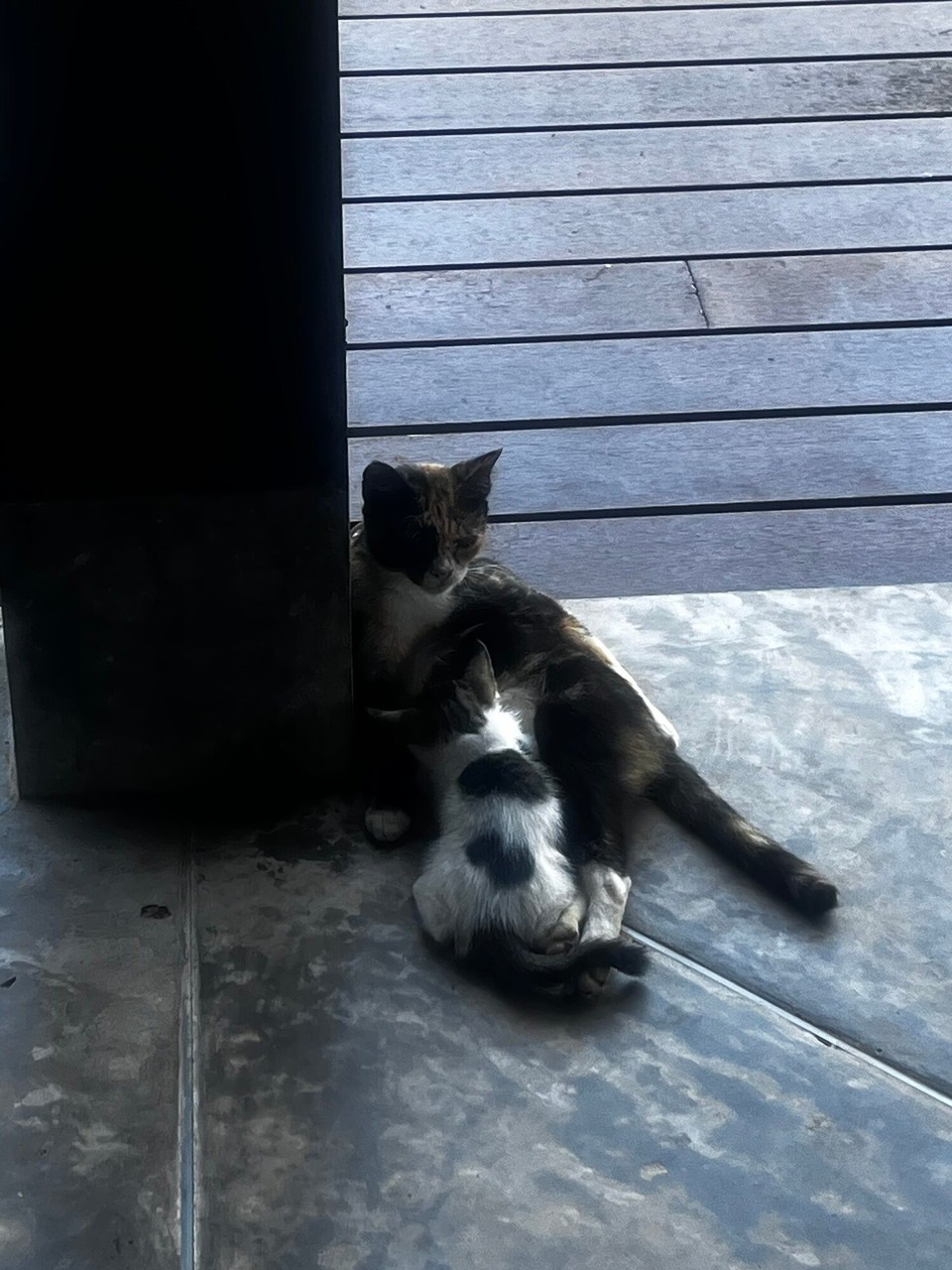 Thailand - Ko Yao - 