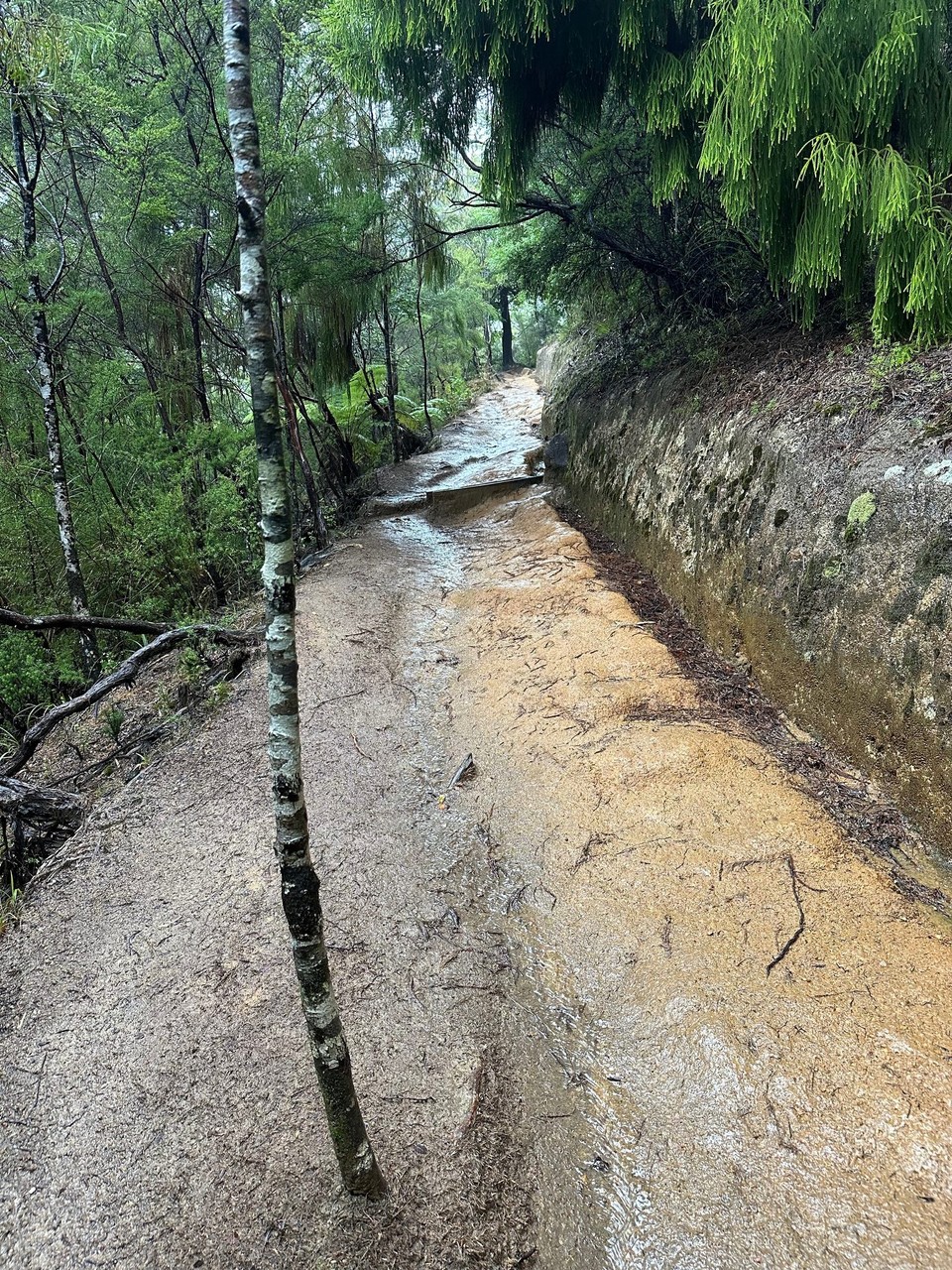 Neuseeland - Abel Tasman National Park - ein sehr schöner Wanderweg, 