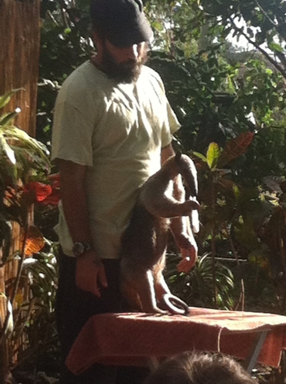 Egyesült Államok - Homestead - 