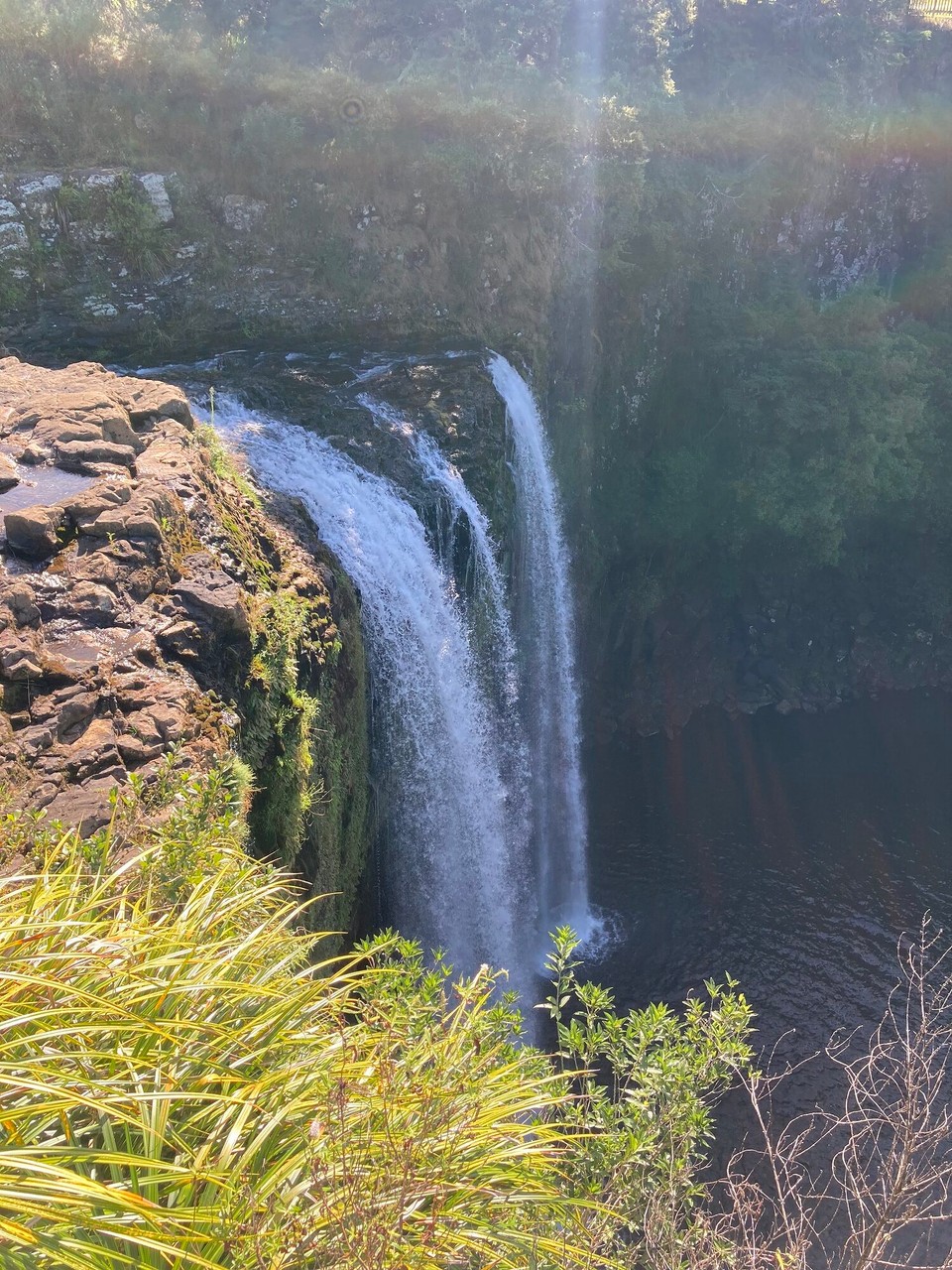 Neuseeland - Whangarei - Whangarei Falls