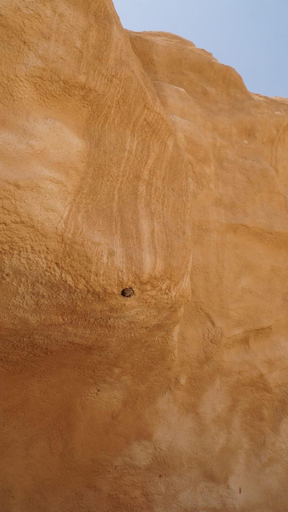 Oman -  - 