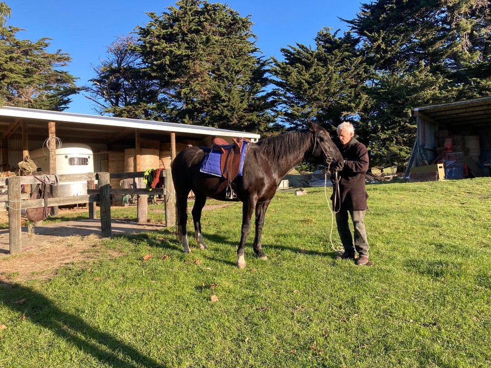 Neuseeland - Ward - Dafür wird Bess gesattelt und jeder darf mal durch den Garten reiten 🤩