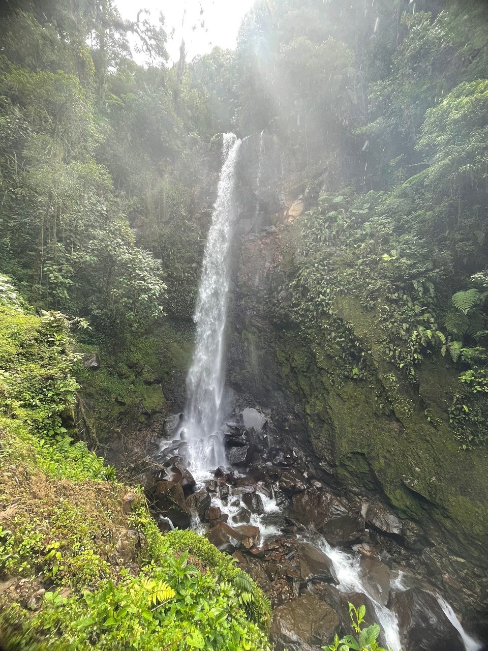 Panama -  - Nr. 1 ✔️