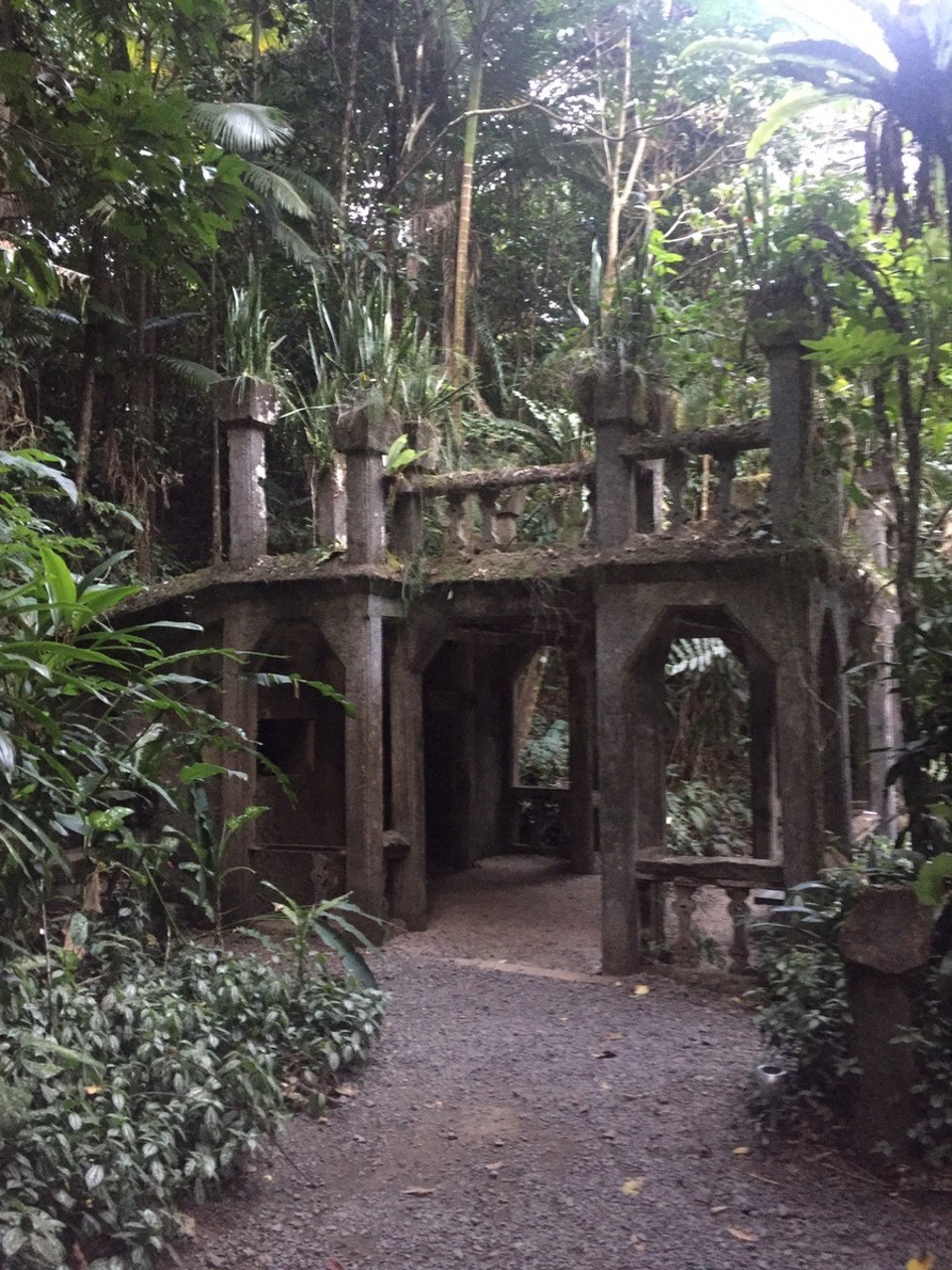 Australia - Mena Creek - 