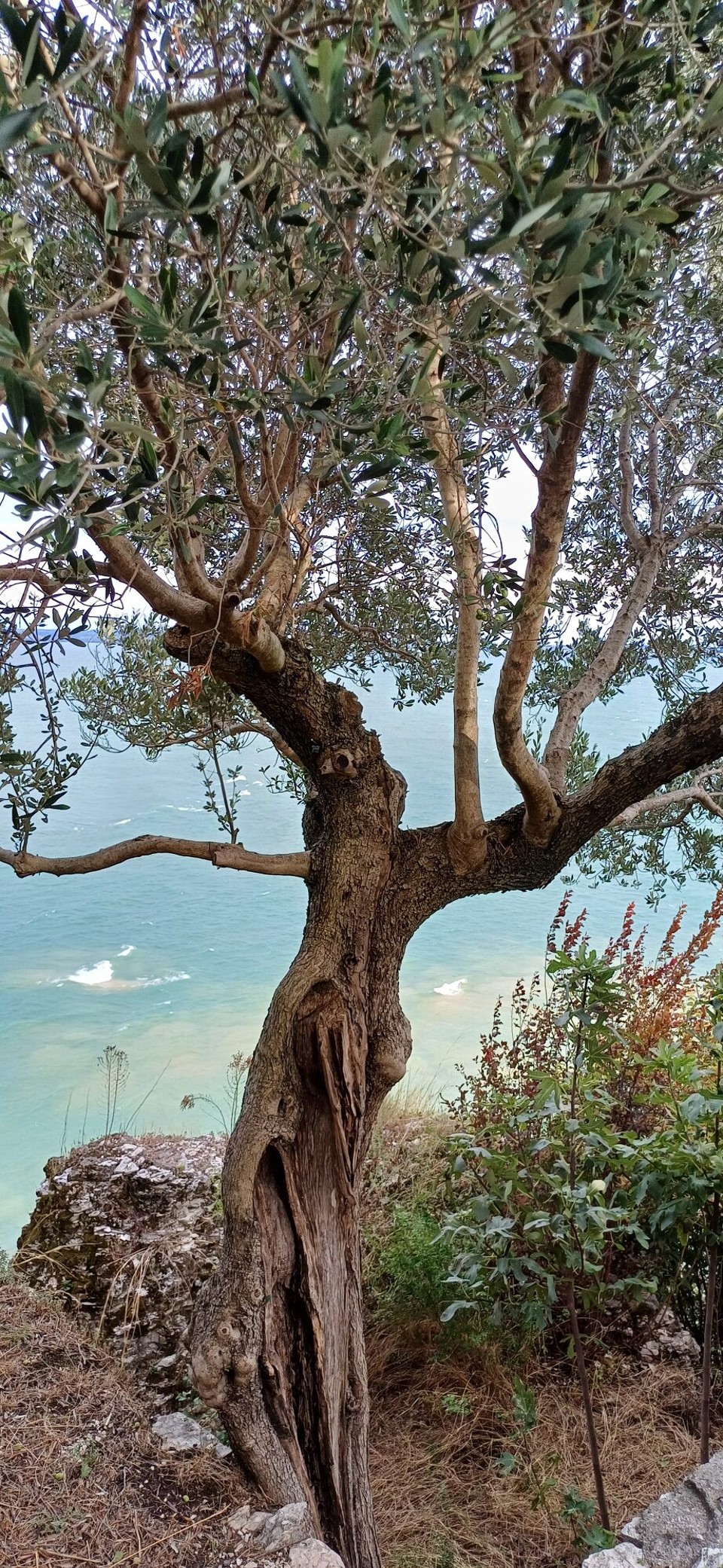 Italien - Sirmione - 