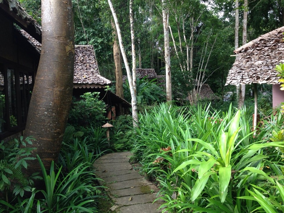 Thailand - Mae Hong Son - Fern Resort 