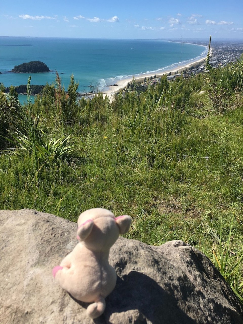 Neuseeland - Papamoa - Die Belohnung 360° Sicht