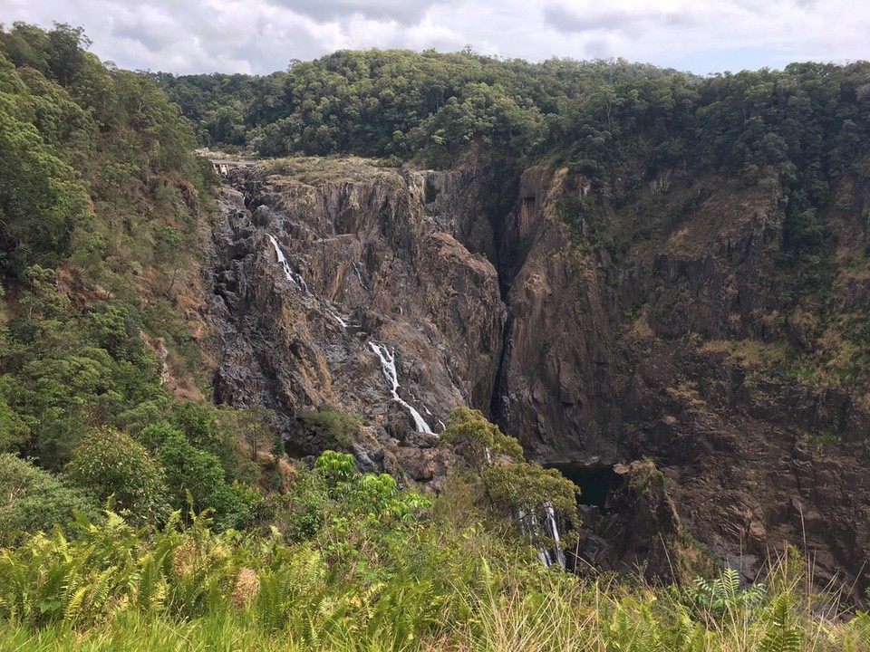 Ausztrália - Kuranda - 