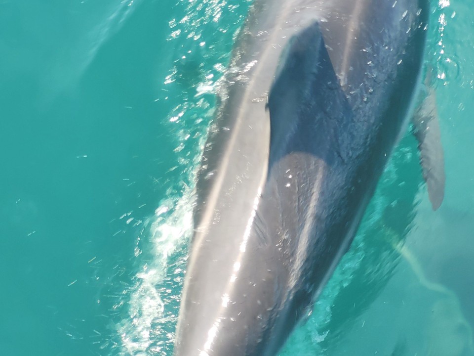 Neuseeland - Kaikoura - 