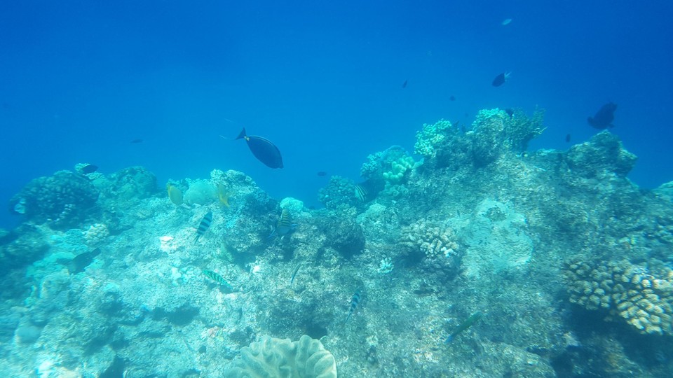 Australia - Cairns - 