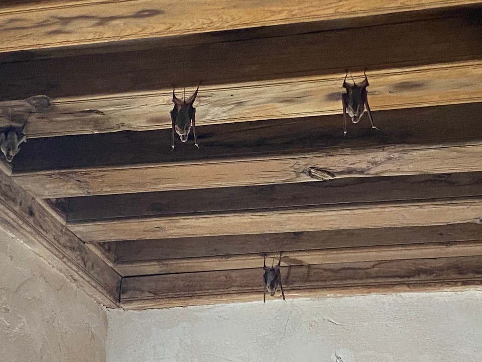 Oman -  - Die heutigen Bewohner