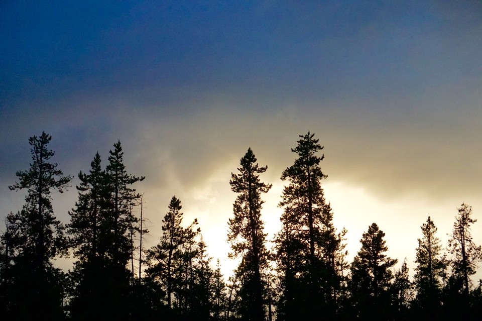 Kanada - Valemount - 