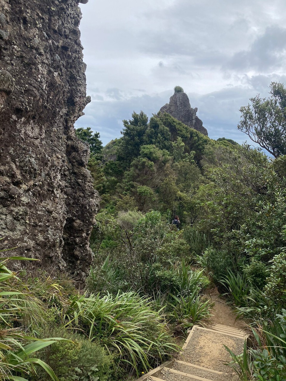 Neuseeland - Whangarei Heads - 