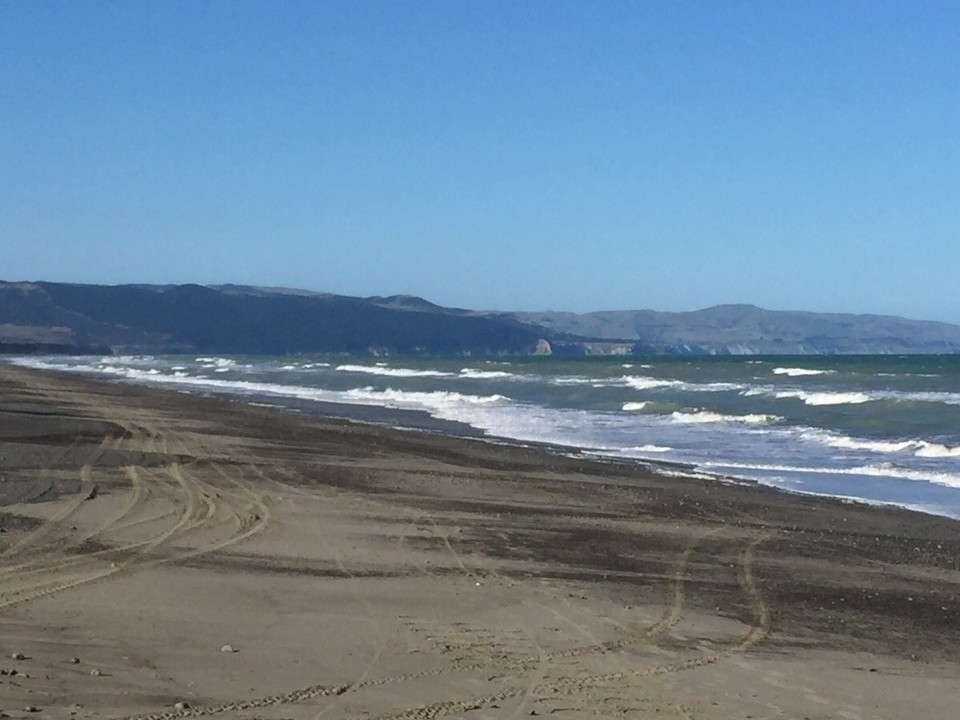 Neuseeland - Leithfield - Leithfield Beach