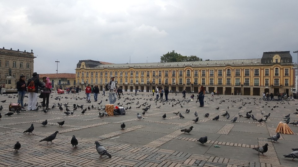 Kolumbien - Bogotá - Da sag nochmal jemand, das wir zu viele Tauben am Hbf Frankfurt haben......