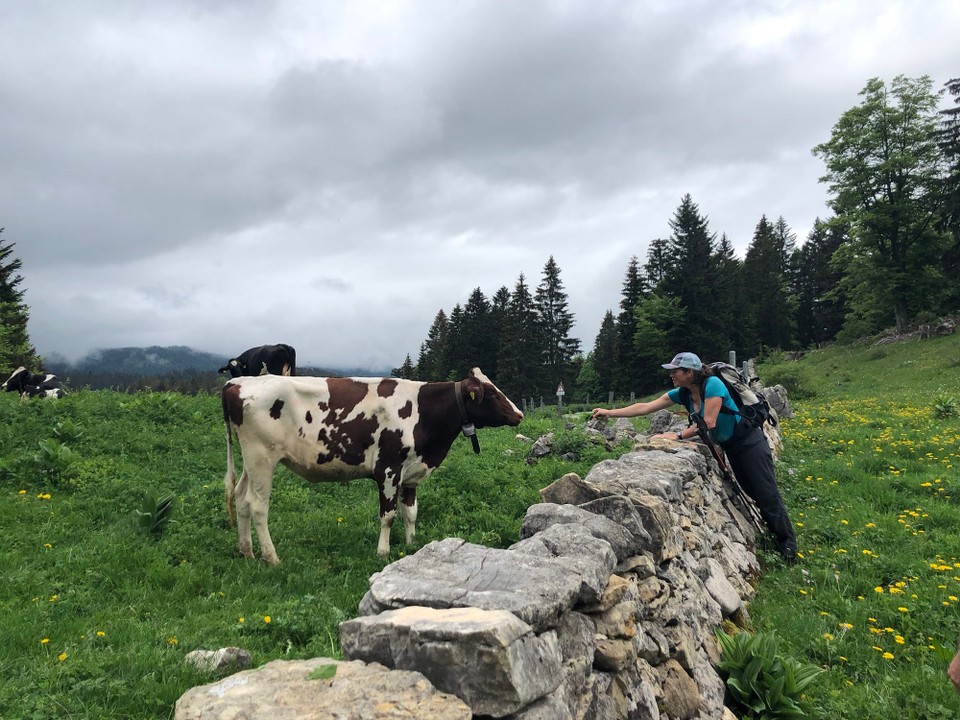 Schweiz - Arzier-Le Muids - 