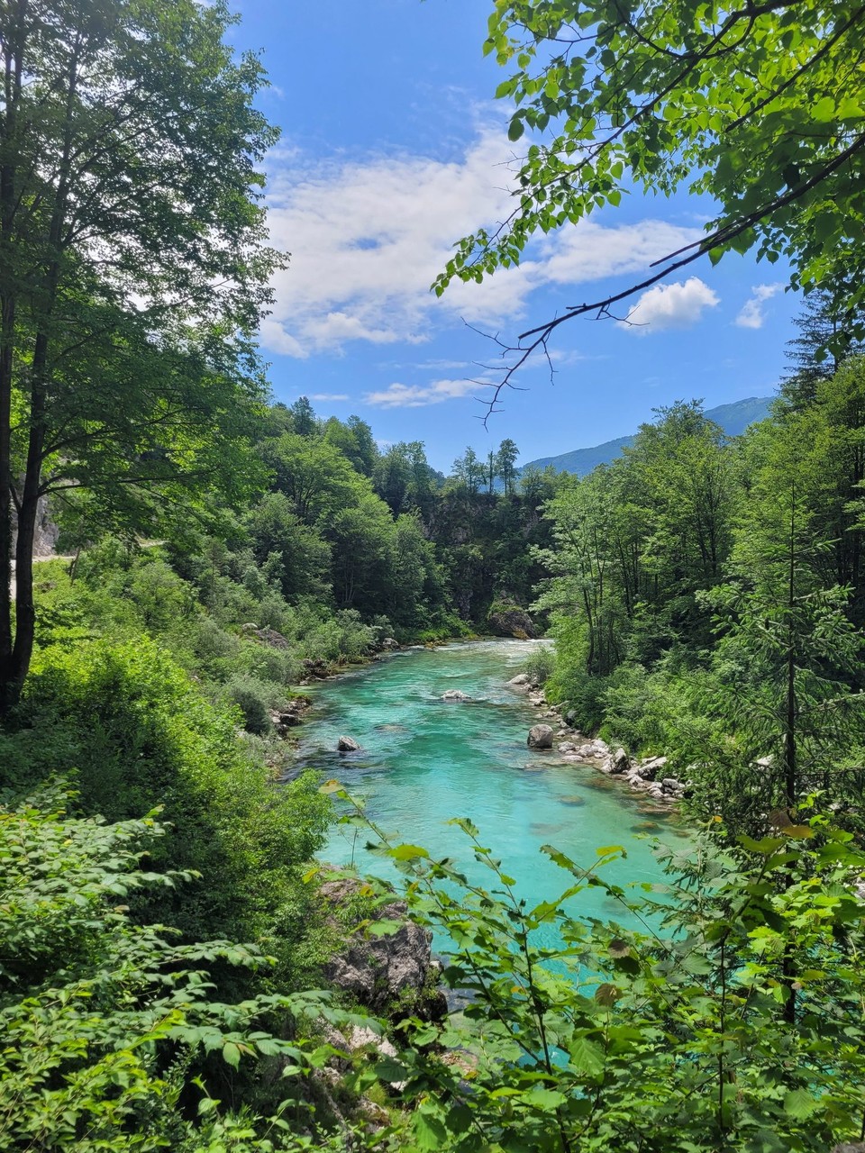 Slowenien - Soča - 