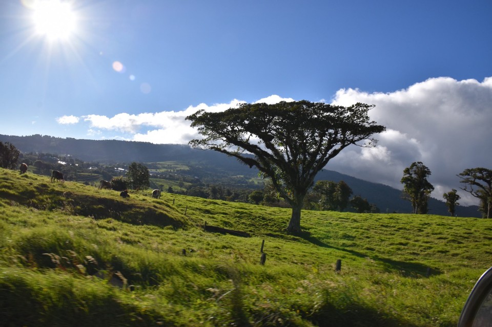 Costa Rica - San José - Hier oben auf 2700 m waren wieder nur 22 Grad, also nichts wie hinab.