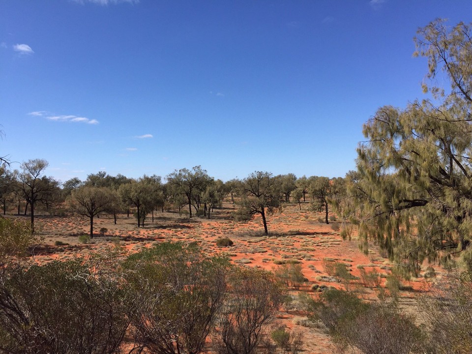 Australien - Yulara - 