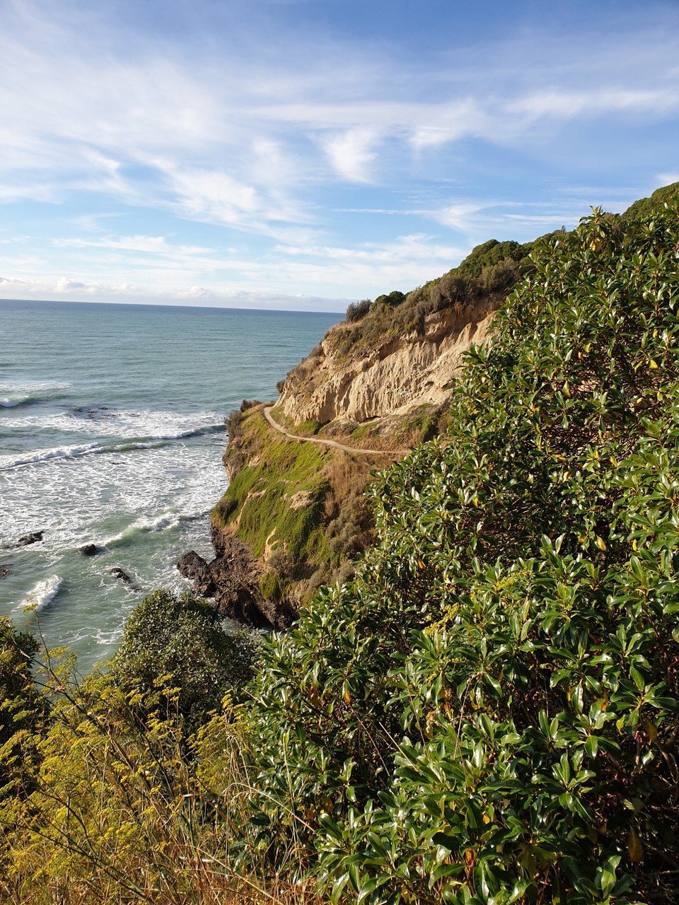 Neuseeland - Oamaru - 