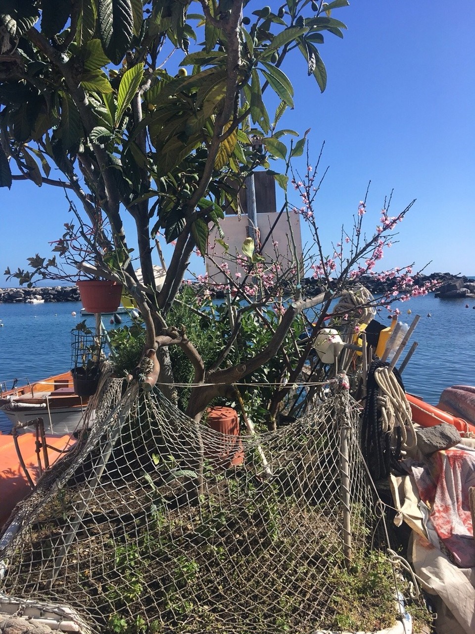 Italien - Procida - 