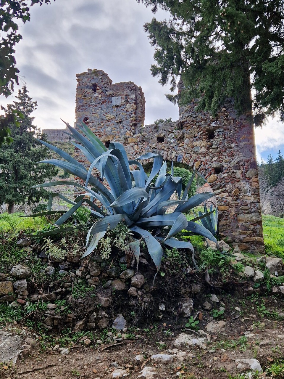Griechenland - Mystras - 