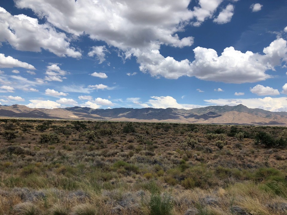 Vereinigte Staaten - Las Vegas - Die Landschaft wird wieder trockener. 