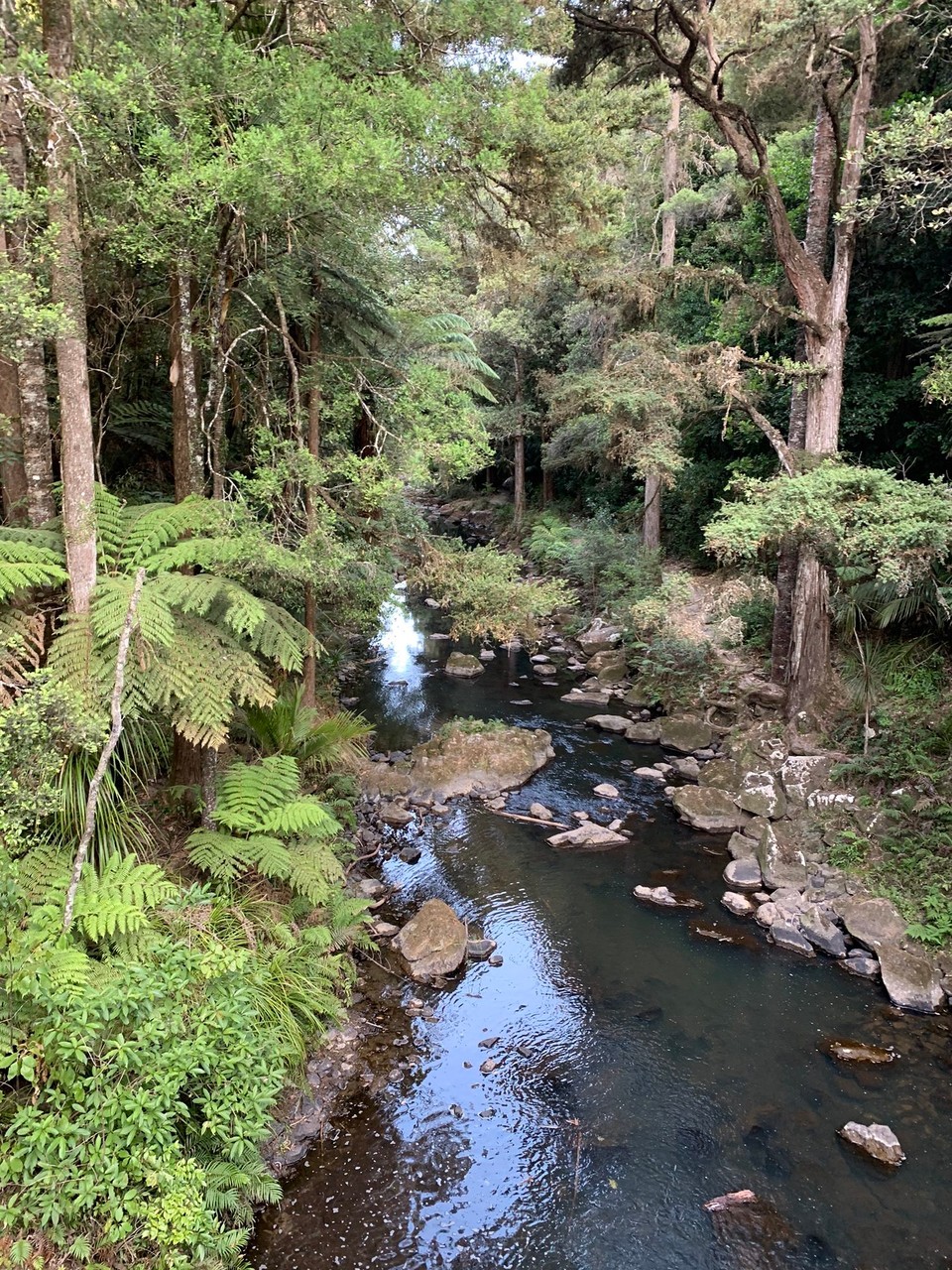 Neuseeland - Whangarei - 