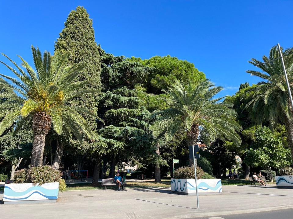 Kroatien - Pula - Palmen in Pula