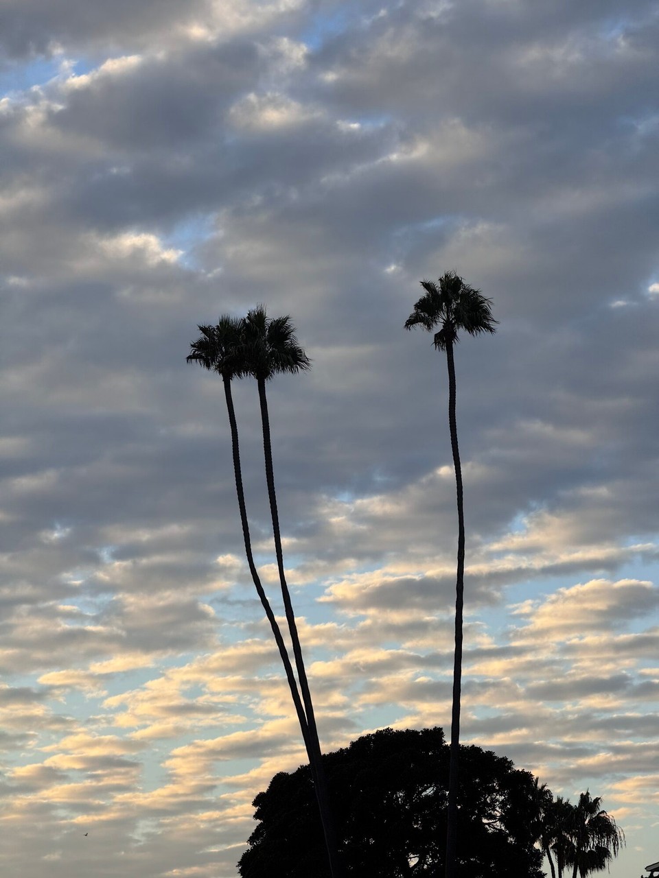 Vereinigte Staaten - Laguna Beach - 