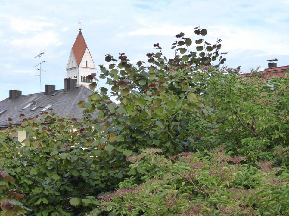 Deutschland - München - Ich bin wieder daheim bei meinem Kirchturm in Pasing und dieses ist nun doch der letzte Bericht. Für morgen reicht es nicht mehr. Sorry.