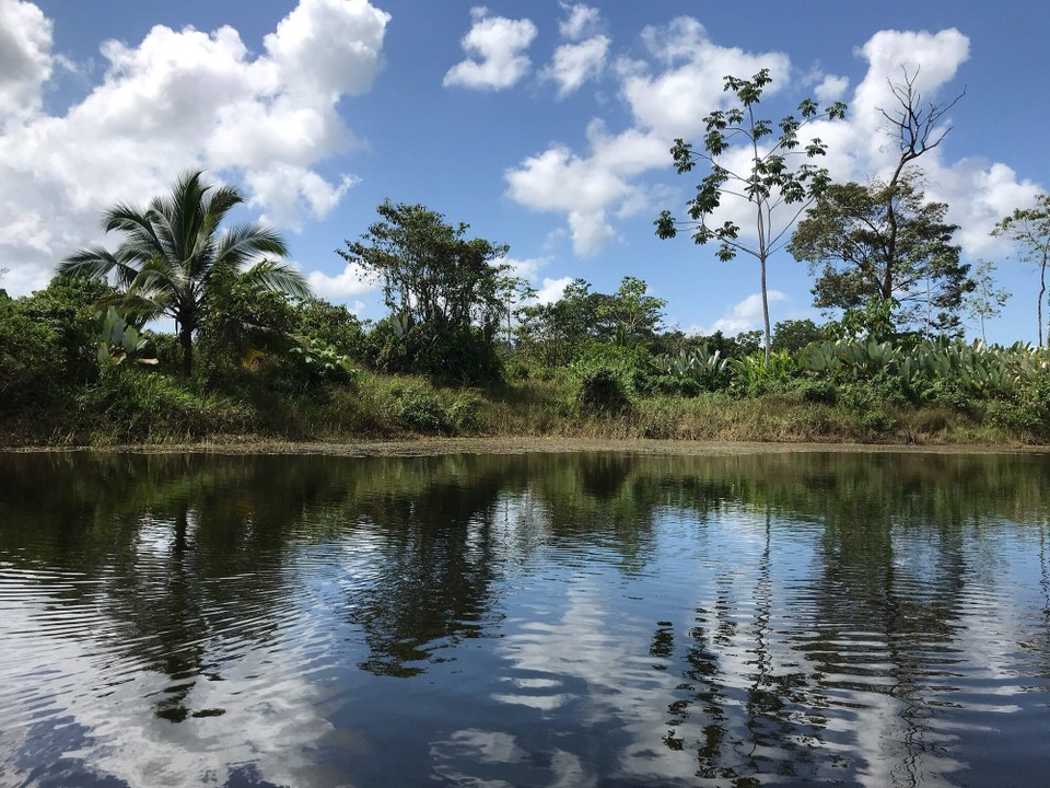 Costa Rica - San Carlos - 