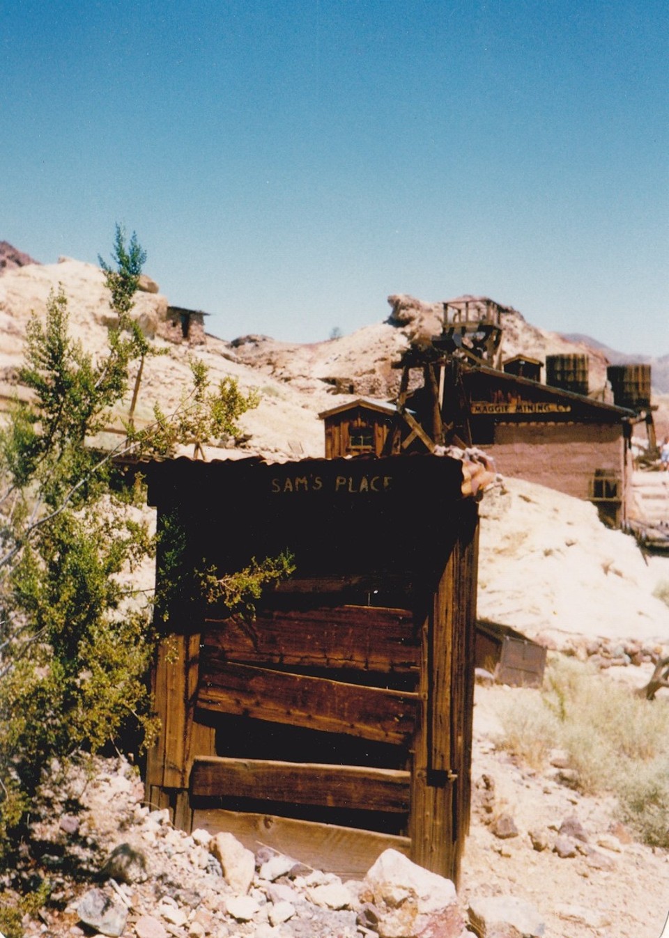 USA - Calico - 