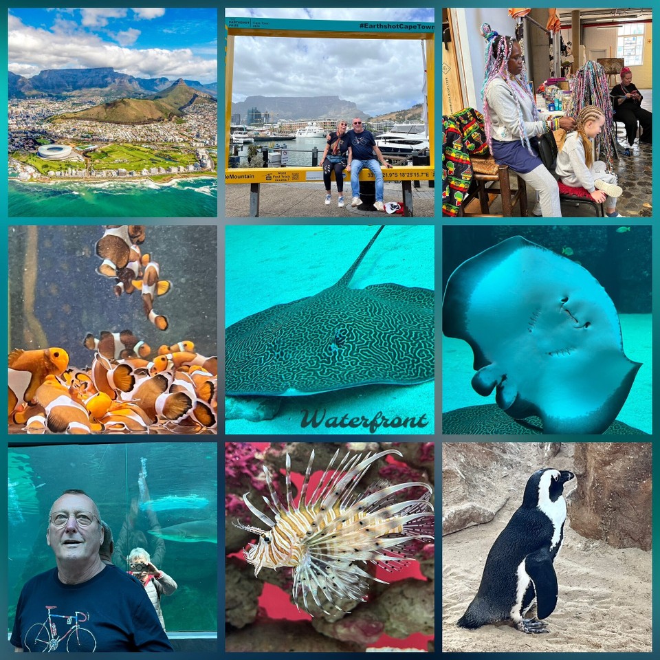 Südafrika - Kapstadt - Aquarium Kapstadt