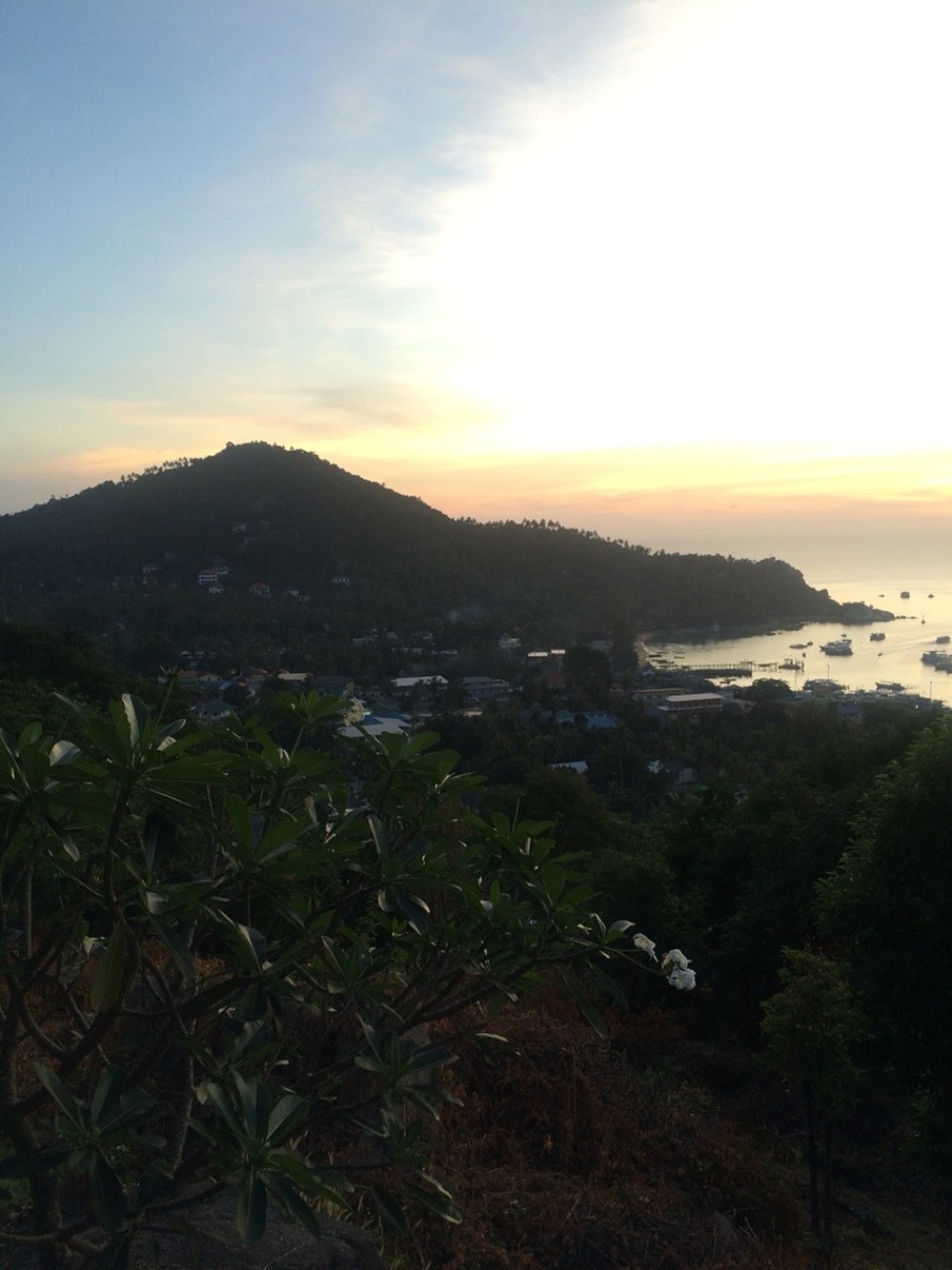 Thailand - Ko Tao - 