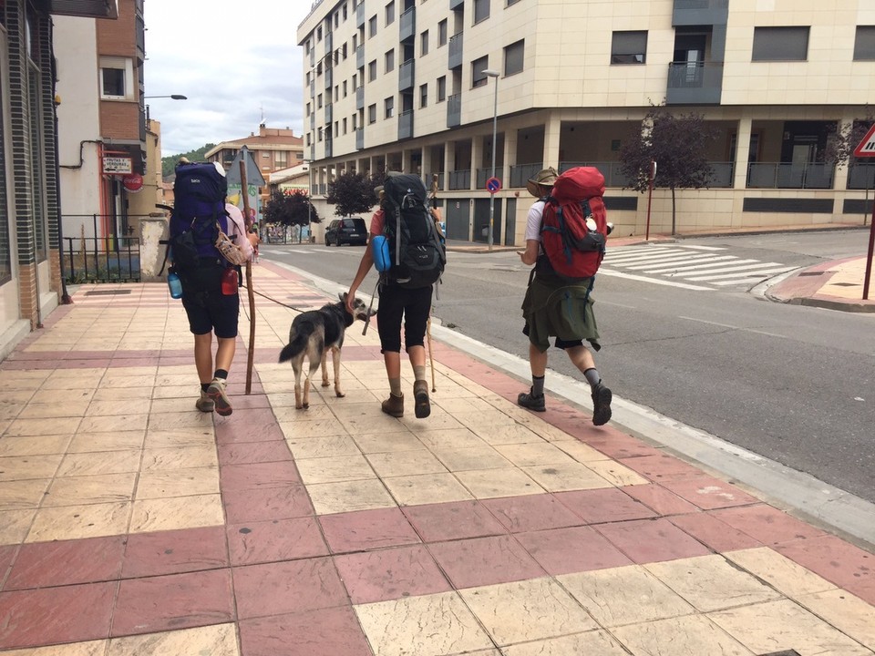  - Spain, Nájera - Najera. Our destination for today. Logrono to Najera 29km. Even dogs walk the Camino. 