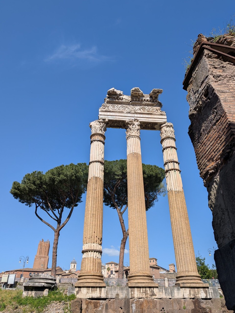 Italien - Rom - Die Säulen gehörten zum Tempel der Venus Genetrix.