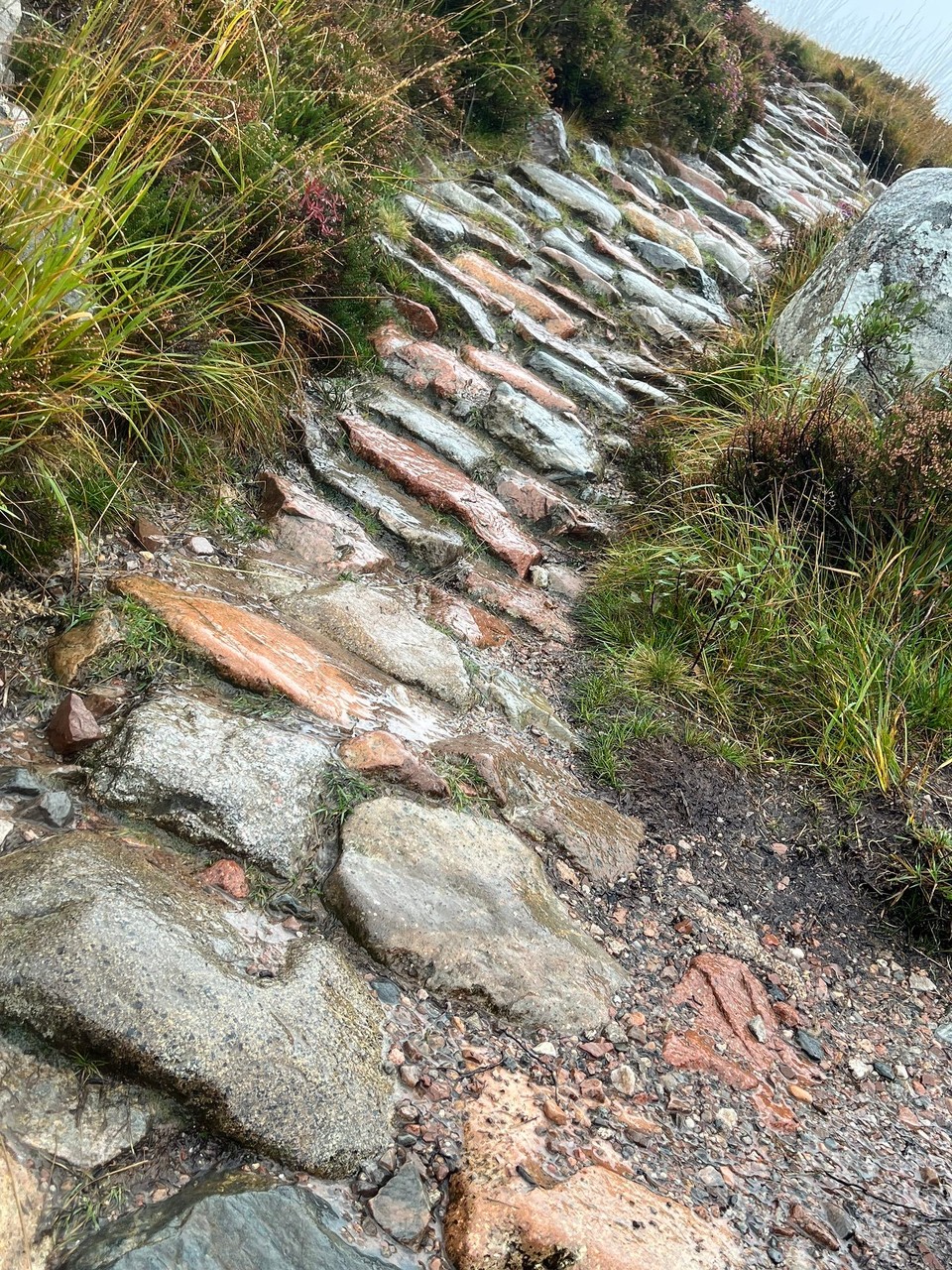 Vereinigtes Königreich - Corrour - 