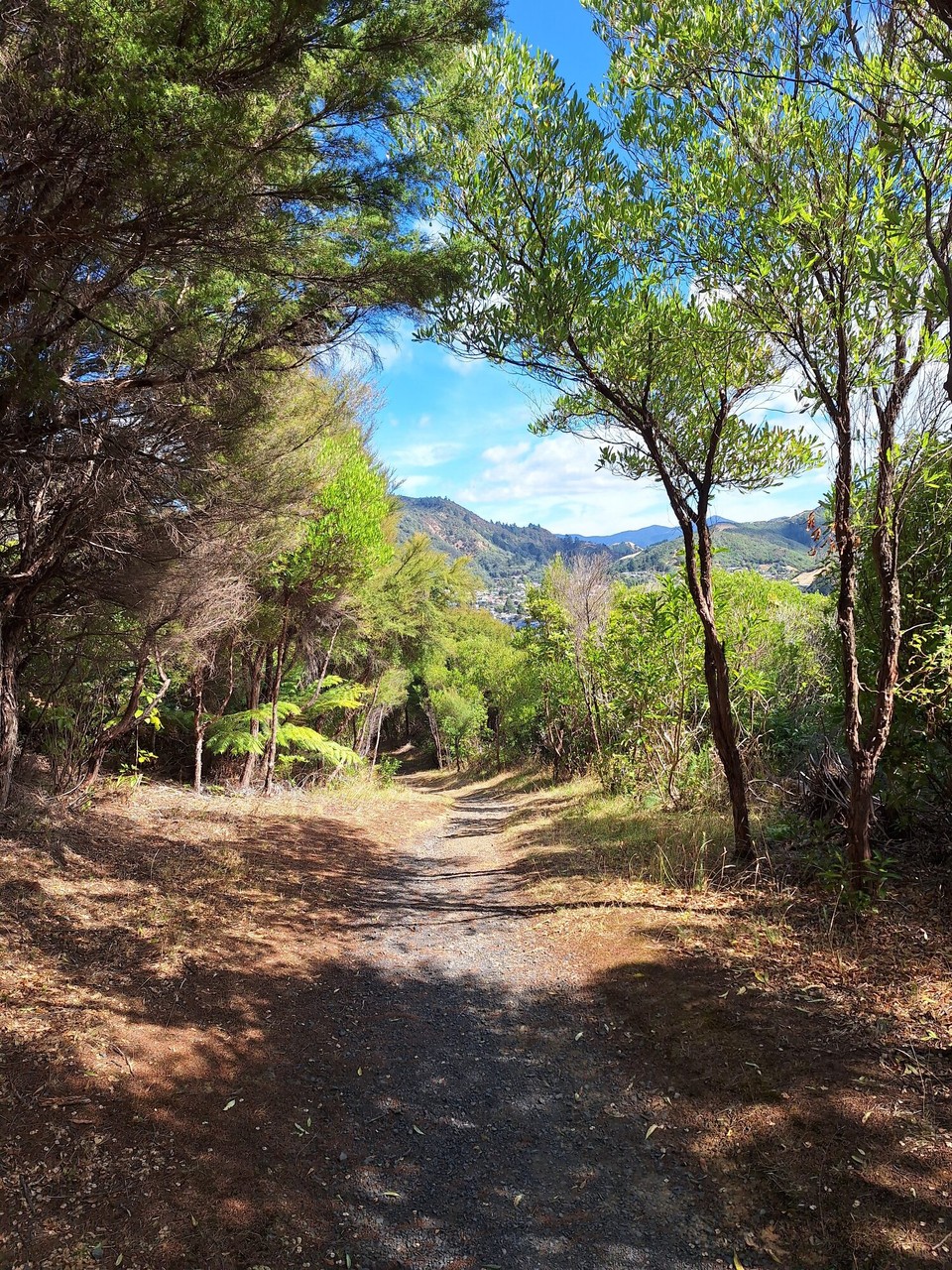 Neuseeland - Picton - Tolle Wanderwege