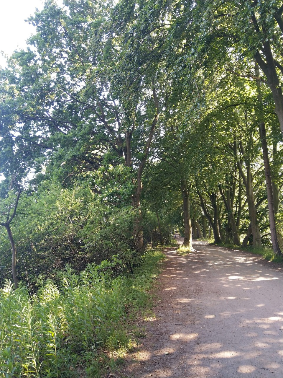 Deutschland - Hamburg - Bestes Wetter, schönstes Grün inmitten der Stadt.