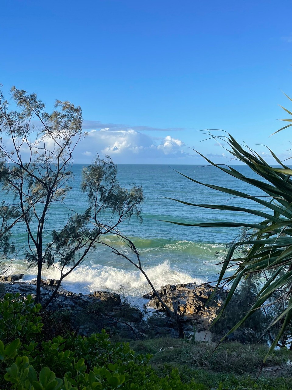 Australien - Noosaville - Noosa, Coastal Walk