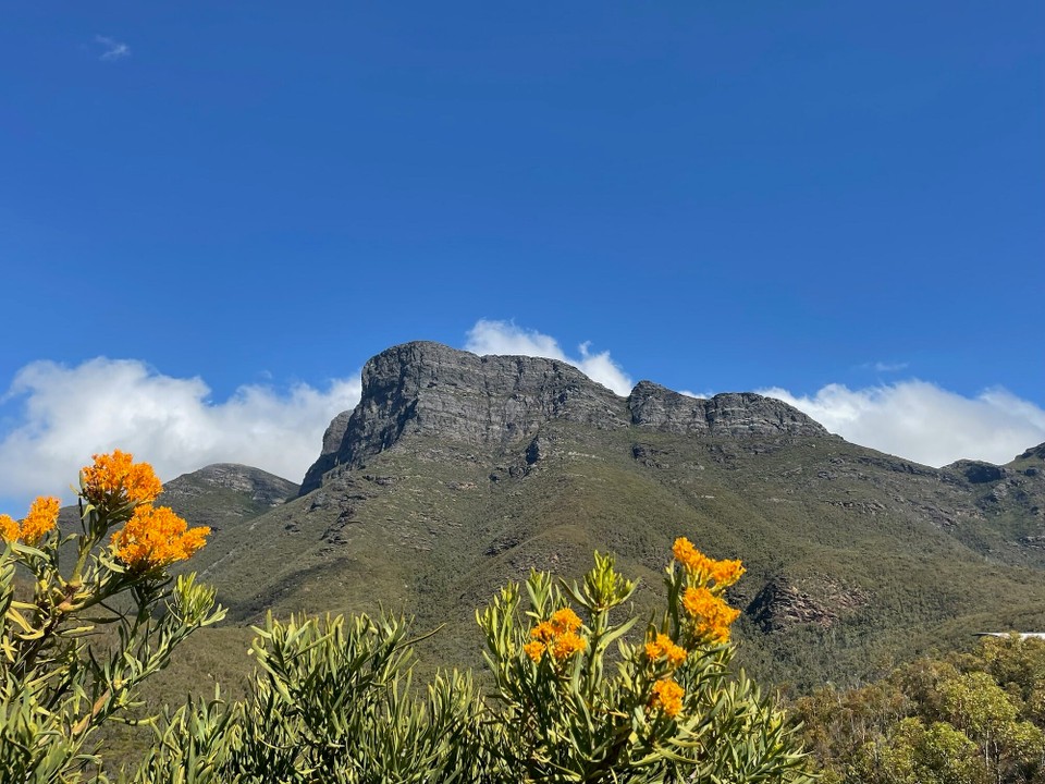 Australien - Stirling Range National Park - Auf dem Weg zu unserem nächsten Ziel sind wir durch den Stirling Range Nationalpark gefahren und haben einen Stopp gemacht um auf den Bluff Knoll zu wandern. 